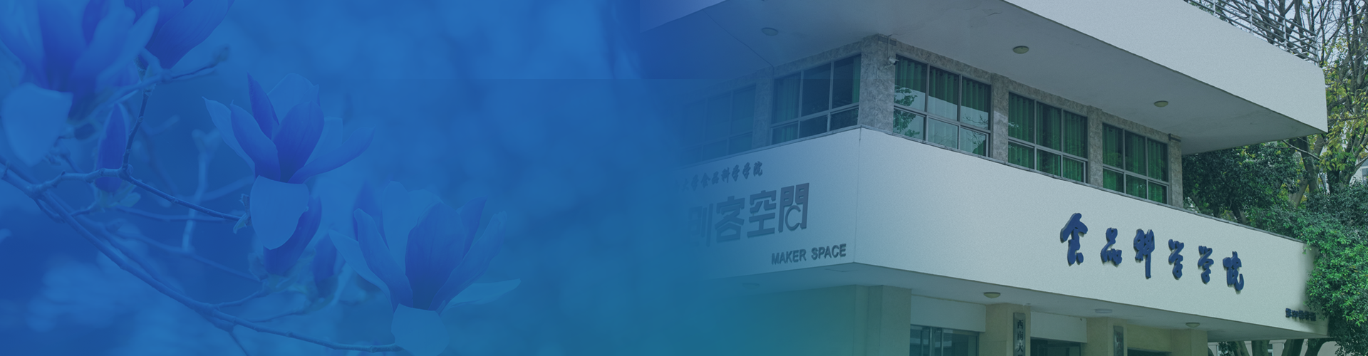 PA视讯官网