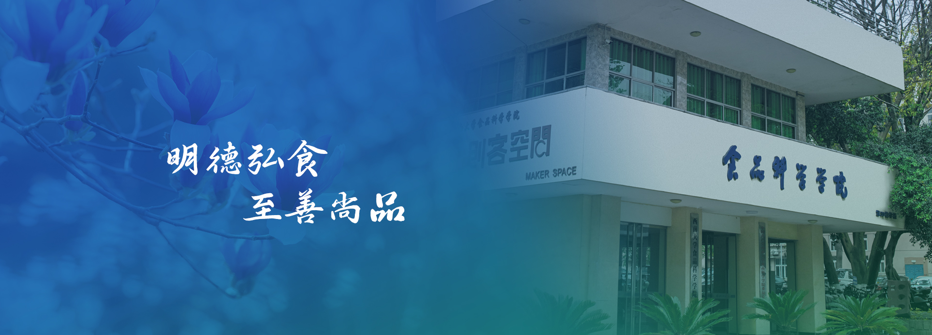 PA视讯官网