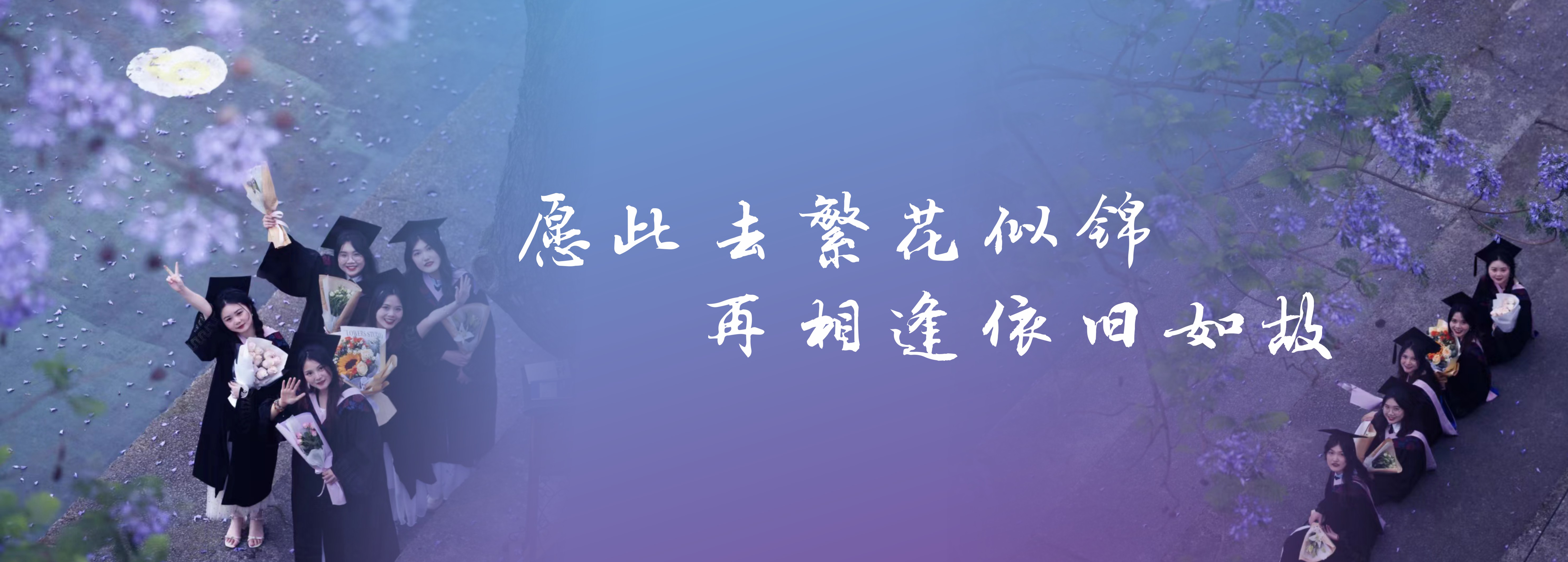 PA视讯官网